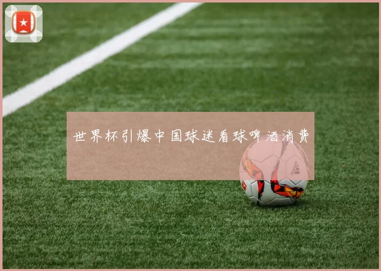 世界杯引爆中国球迷看球啤酒消费