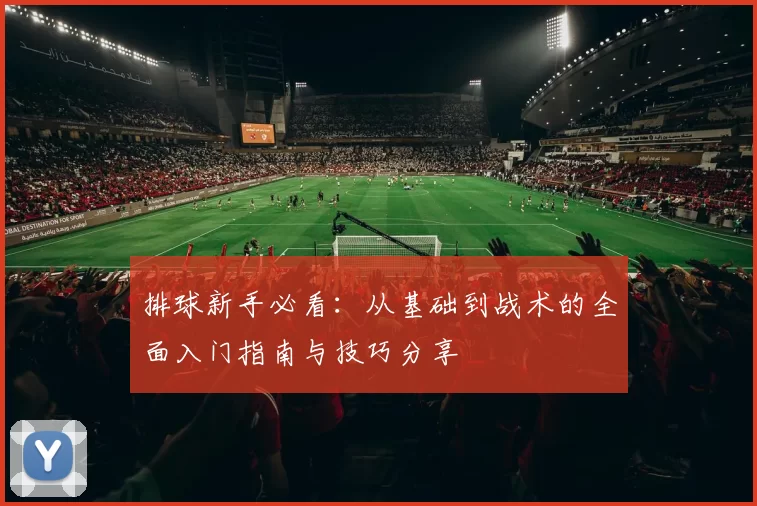 排球新手必看：从基础到战术的全面入门指南与技巧分享