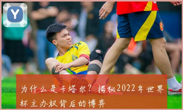 为什么是卡塔尔?揭秘2022年世界杯主办权背后的博弈