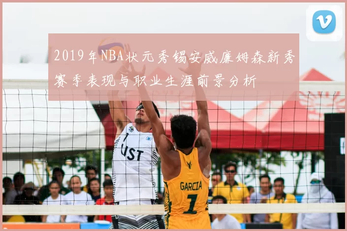 2019年NBA状元秀锡安威廉姆森新秀赛季表现与职业生涯前景分析