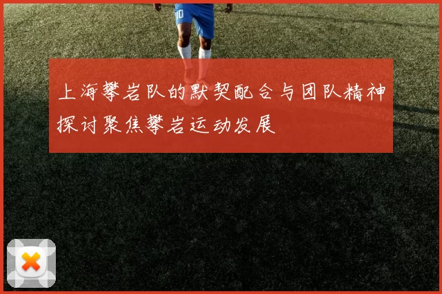 上海攀岩队的默契配合与团队精神探讨聚焦攀岩运动发展
